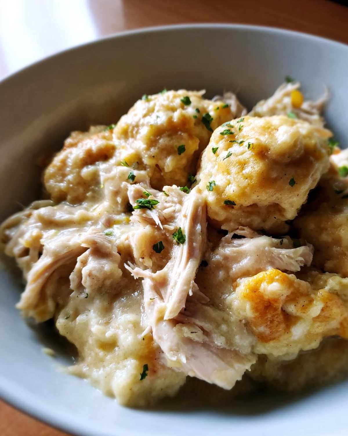 Crockpot Chicken and Dumplings - detail 3