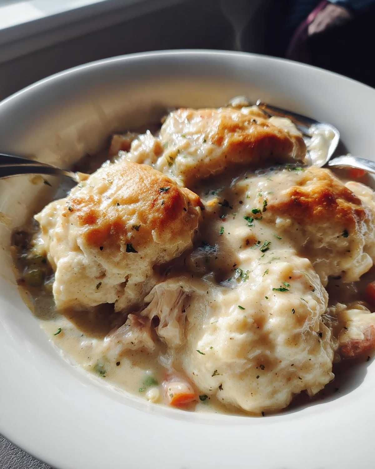 Crockpot Chicken and Dumplings - detail 4