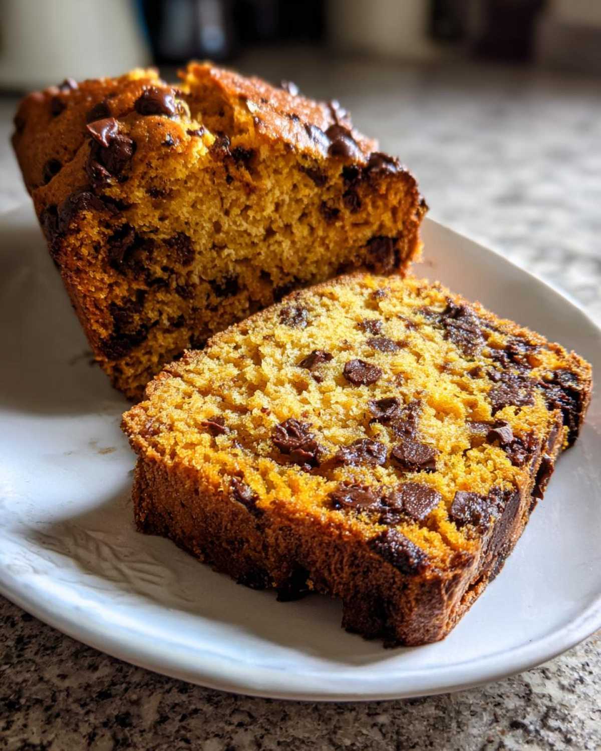 Pumpkin Chocolate Chip Bread - detail 1