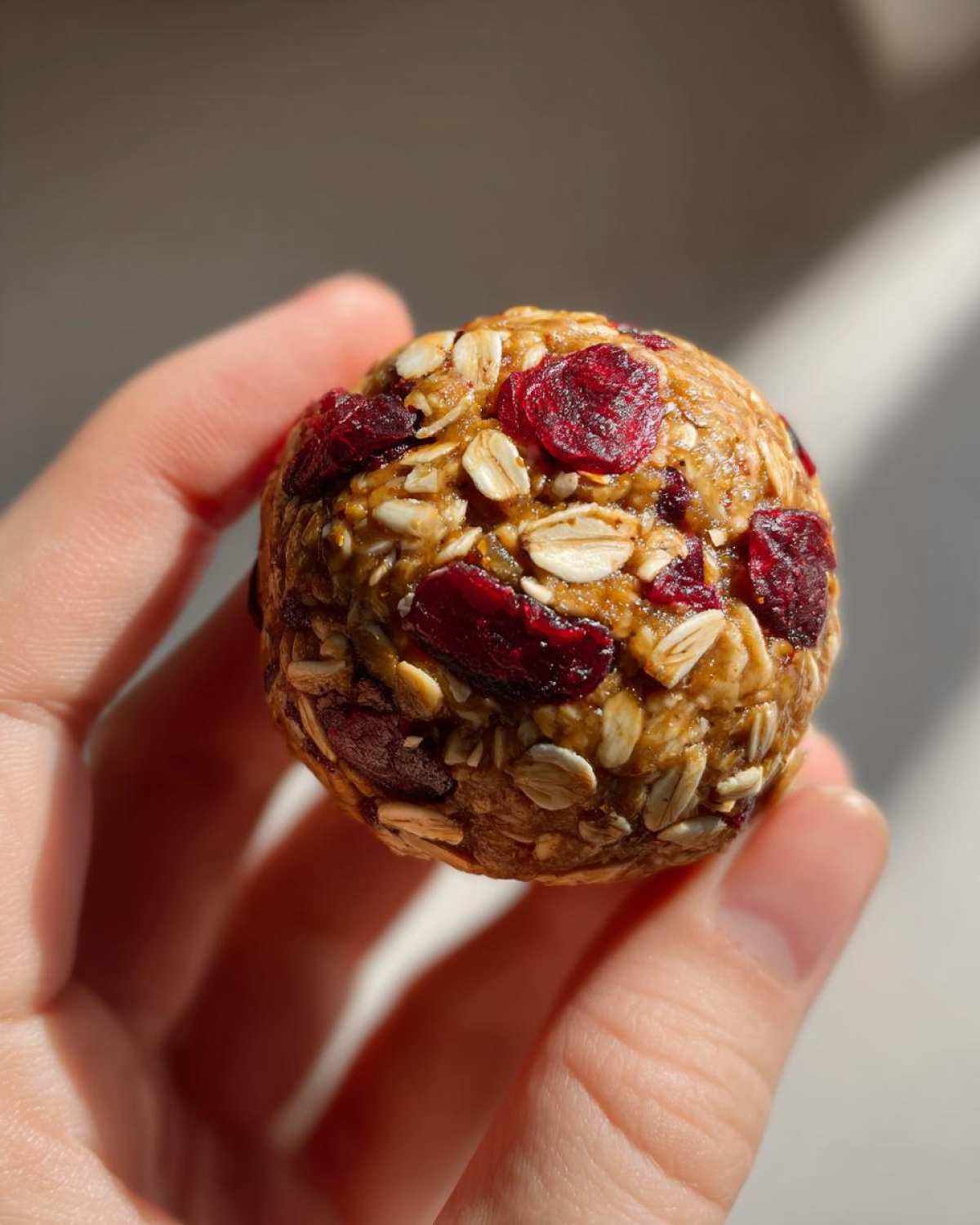 Pumpkin Cranberry Energy Bites - detail 1
