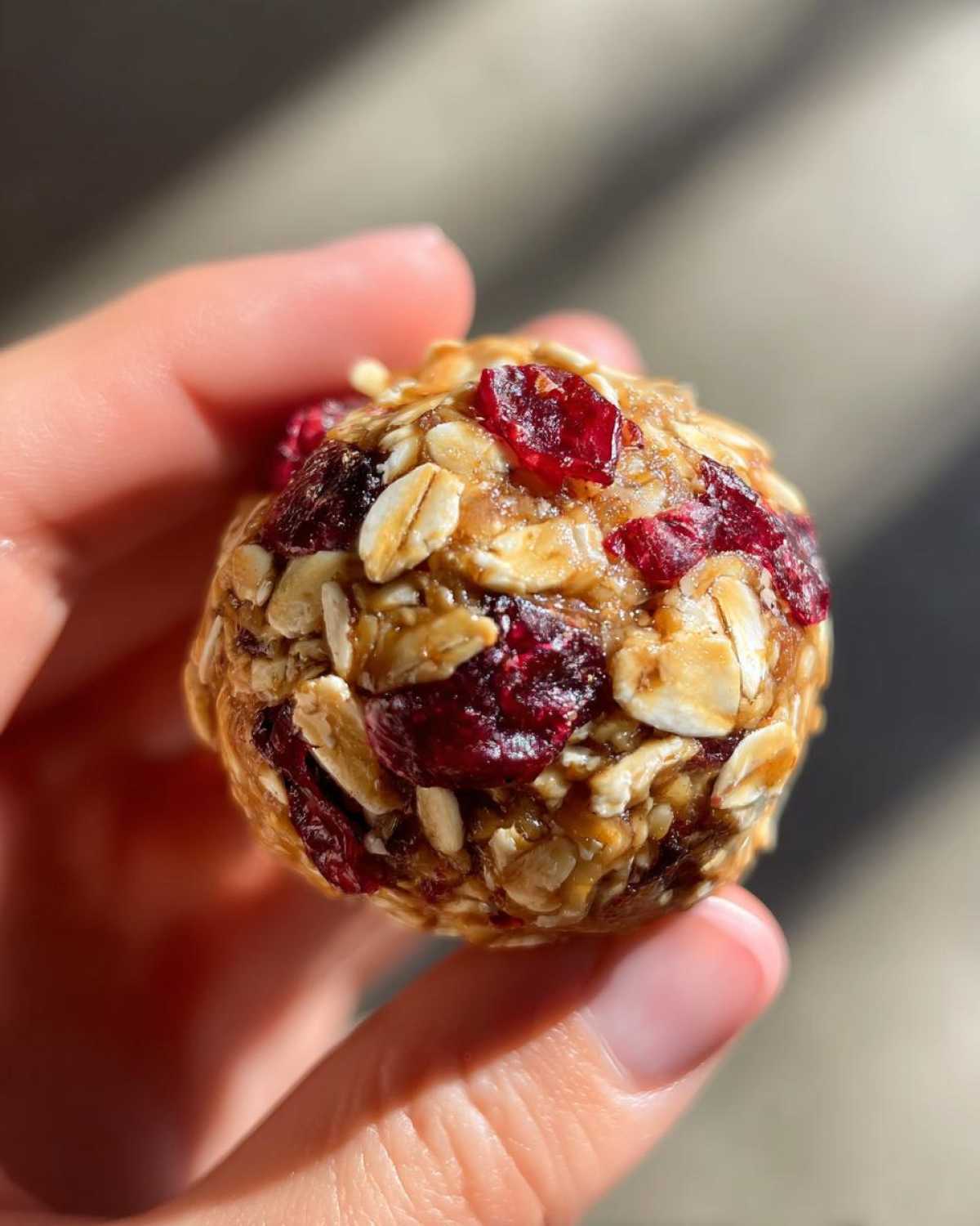 Pumpkin Cranberry Energy Bites - detail 2