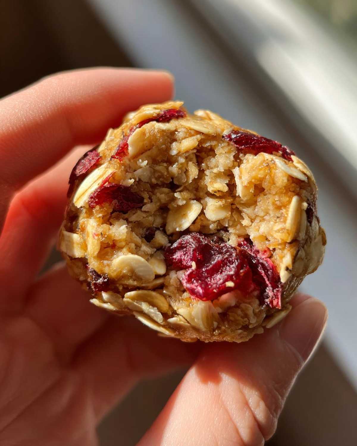 Pumpkin Cranberry Energy Bites - detail 3