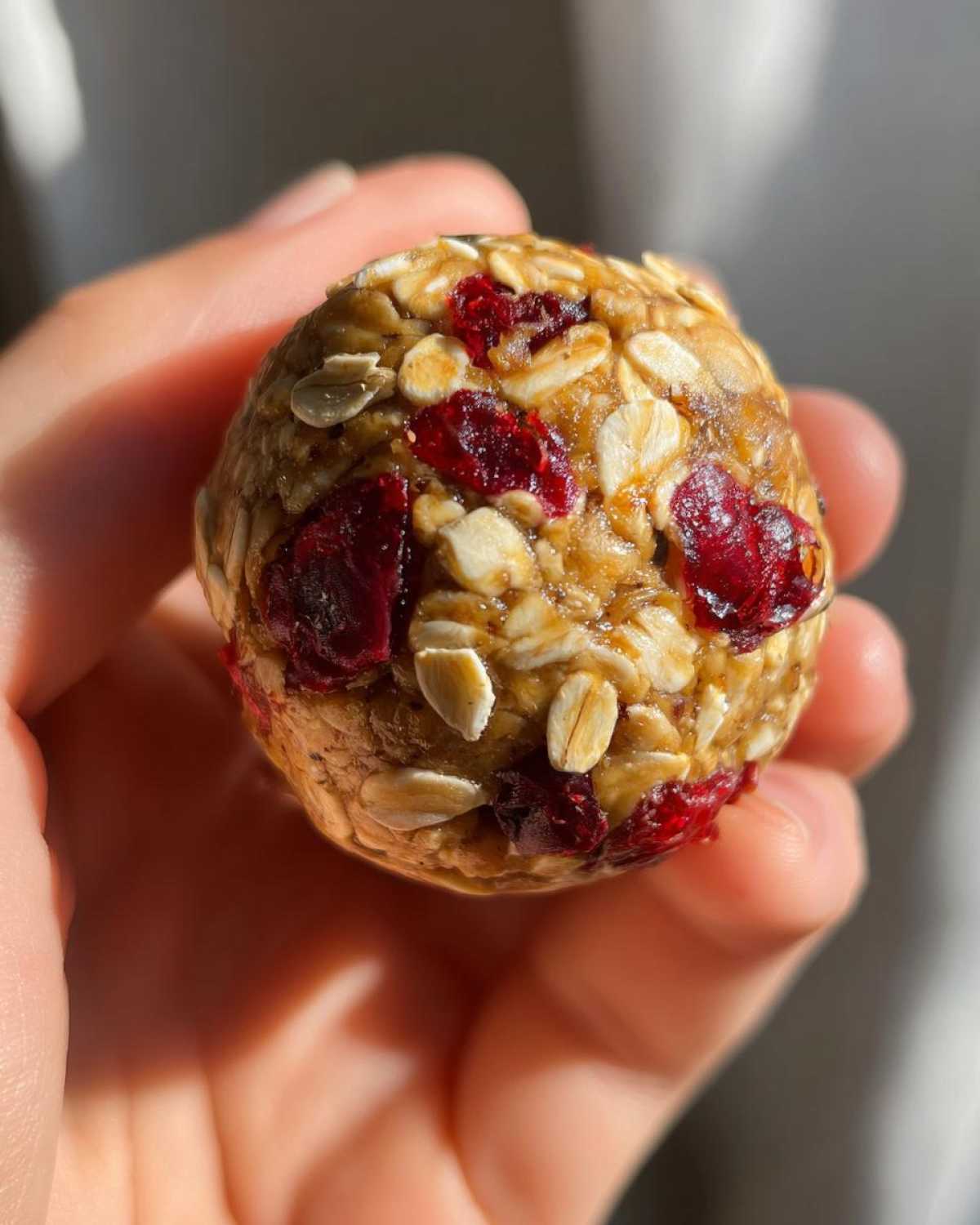 Pumpkin Cranberry Energy Bites - detail 4