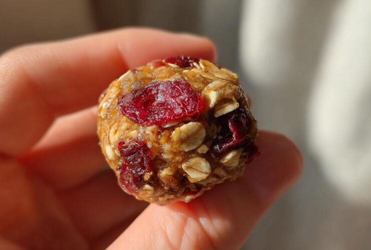 Pumpkin Cranberry Energy Bites