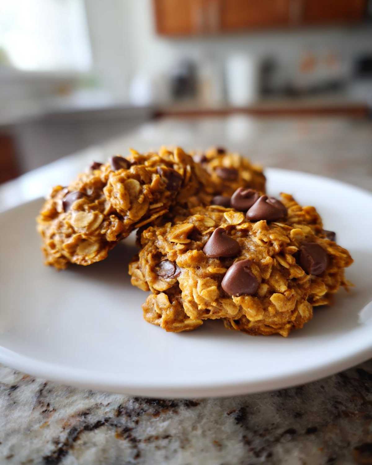 Pumpkin Oatmeal Cookies - detail 1