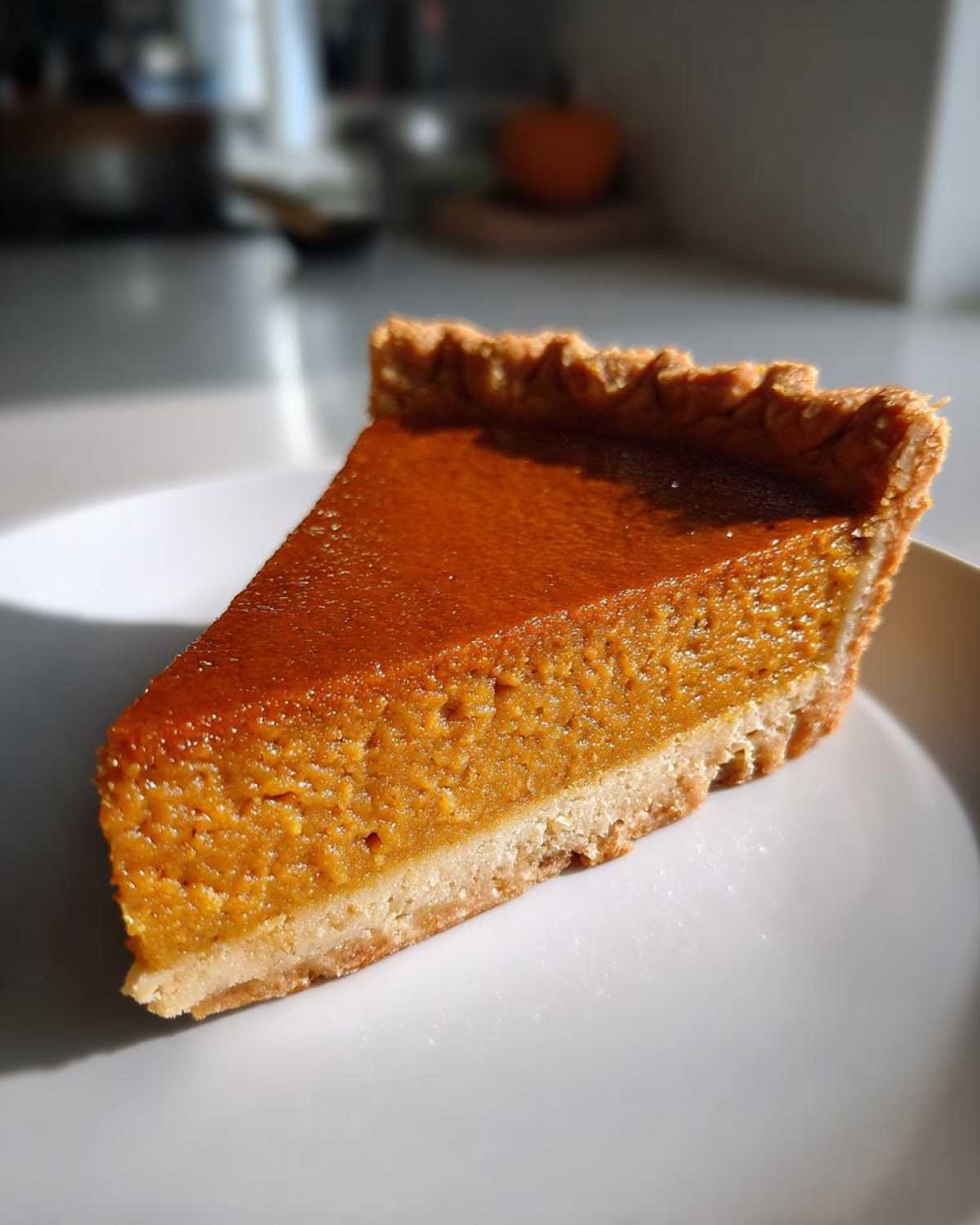 Pumpkin Pie - detail 3
