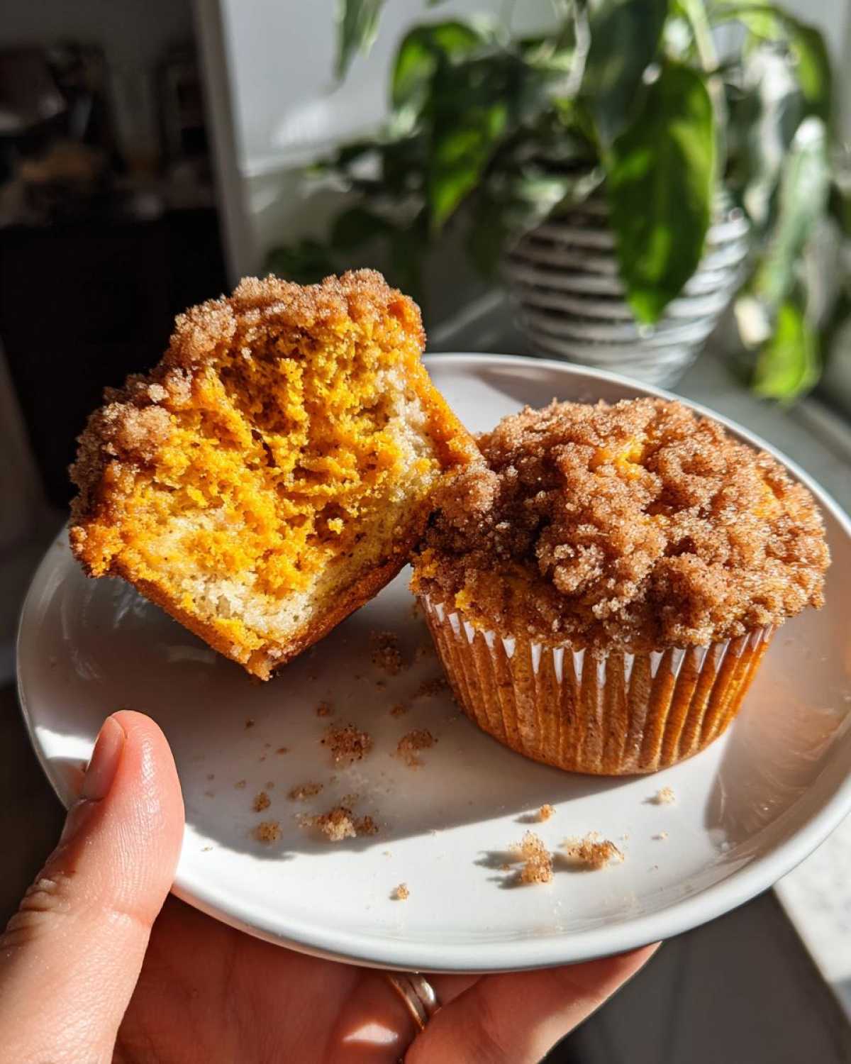 Pumpkin Streusel Muffins - detail 3
