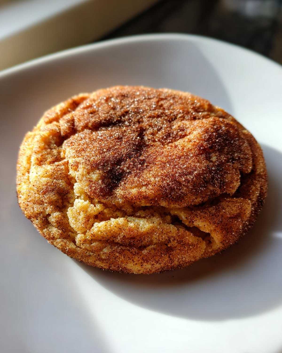 Soft and Chewy Pumpkin Snickerdoodles - detail 1