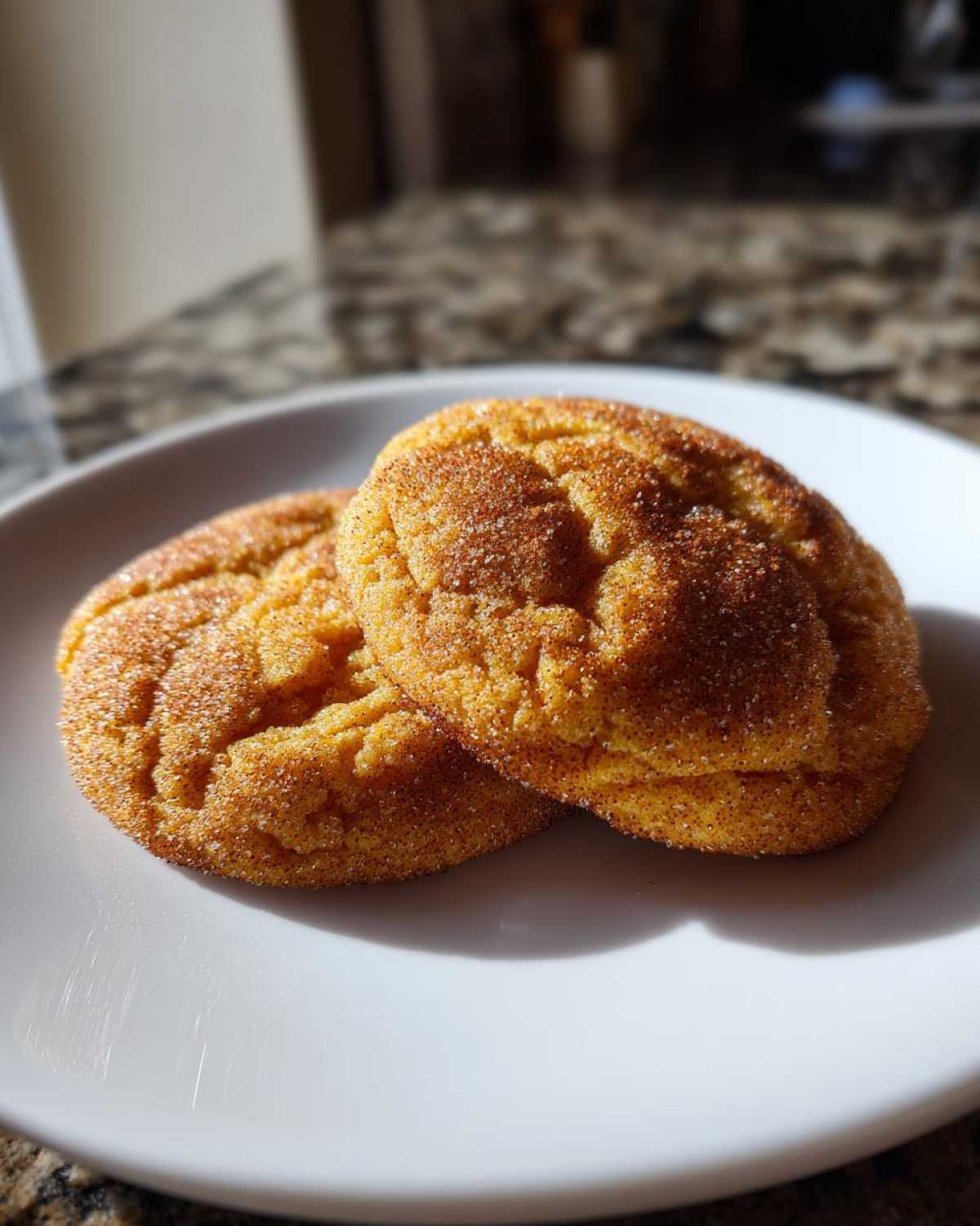 Soft and Chewy Pumpkin Snickerdoodles - detail 4