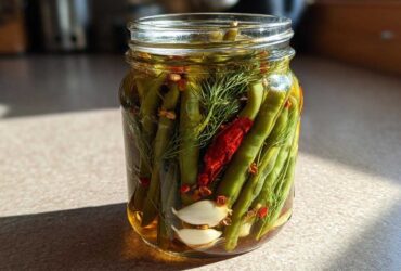 Spicy Dilly Beans