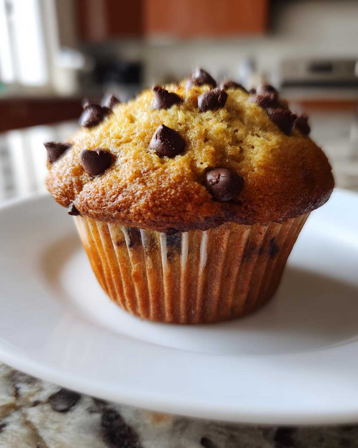 Classic chocolate chip muffins - detail 3