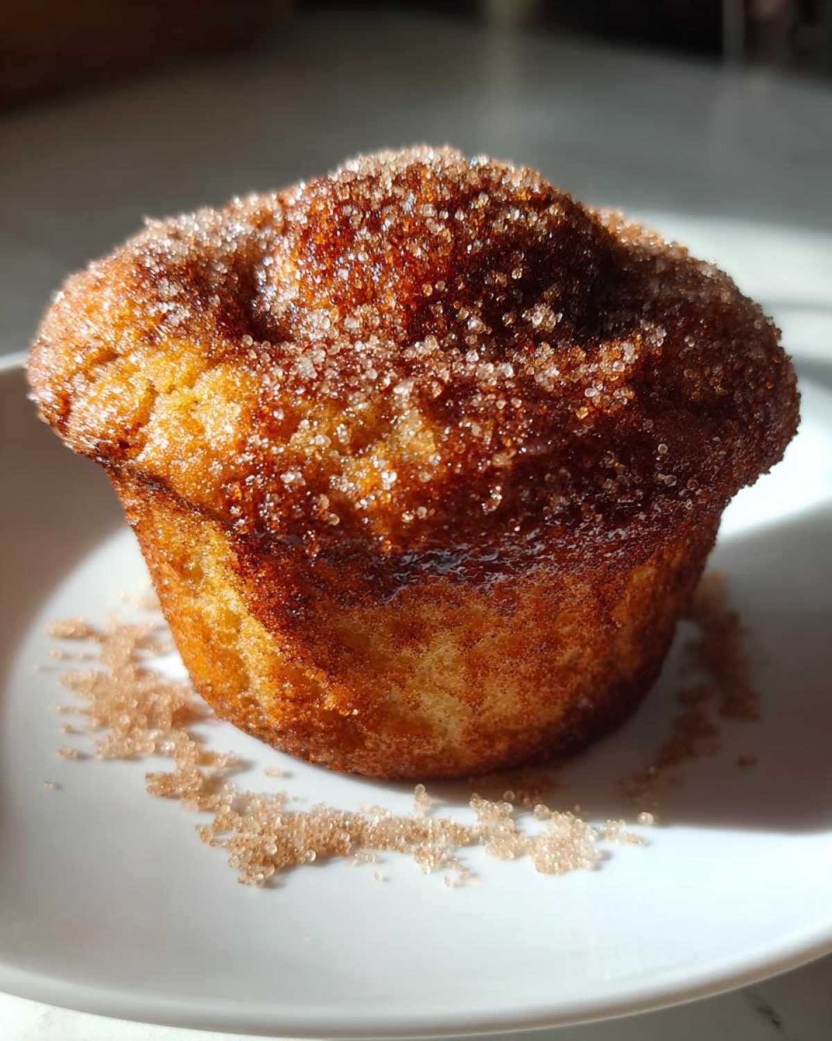 Apple Cider Donut Muffins (Fall Fair Favorite at Home) - detail 3