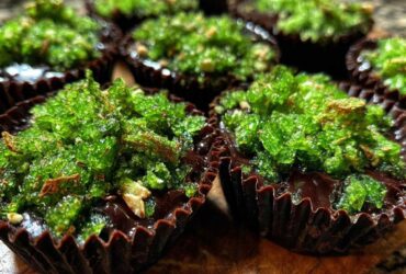 Peppermint Bark Chocolate Cups