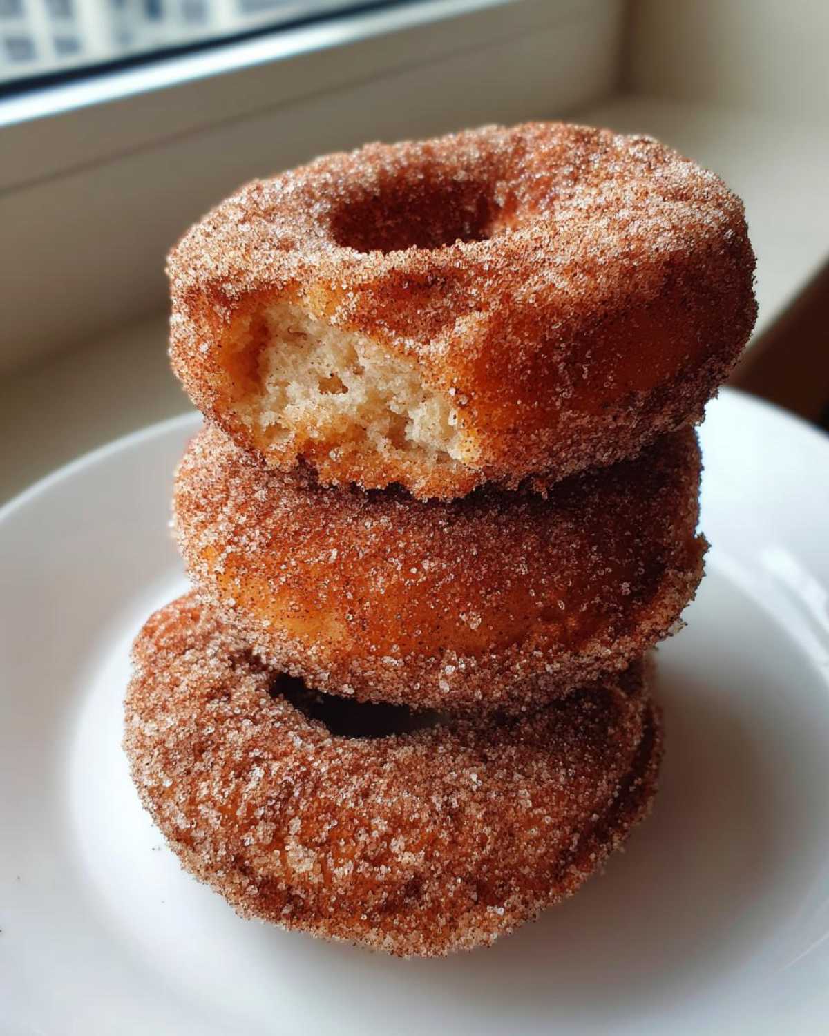 Baked Apple Cider Donuts - detail 1