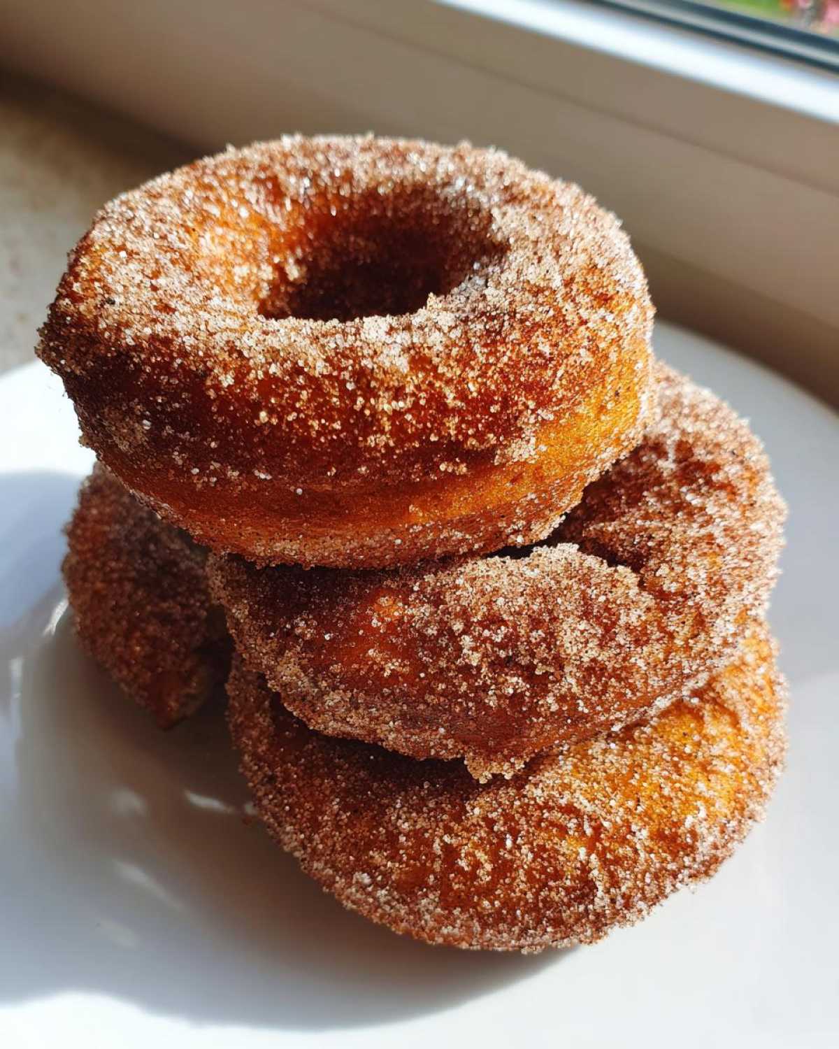 Baked Apple Cider Donuts - detail 2