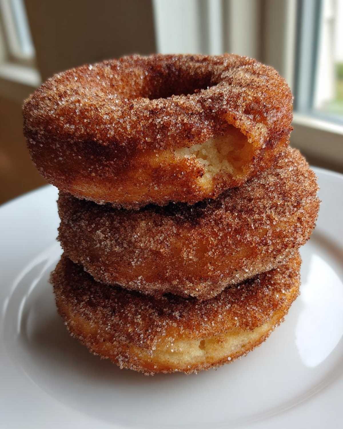Baked Apple Cider Donuts - detail 3