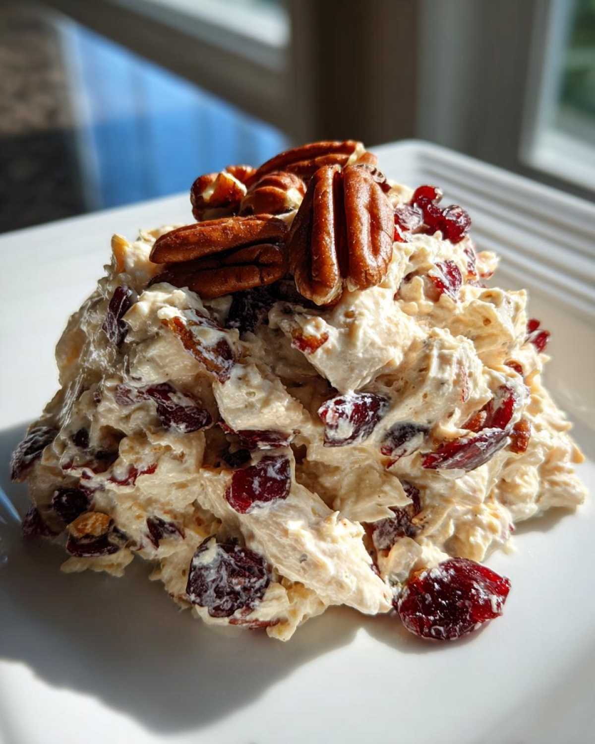 Cranberry Pecan Chicken Salad - detail 2