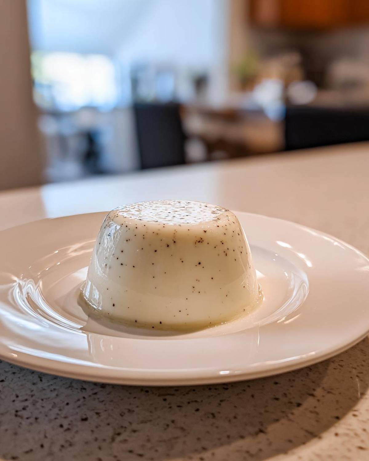 Vanilla Bean Panna Cotta - detail 1