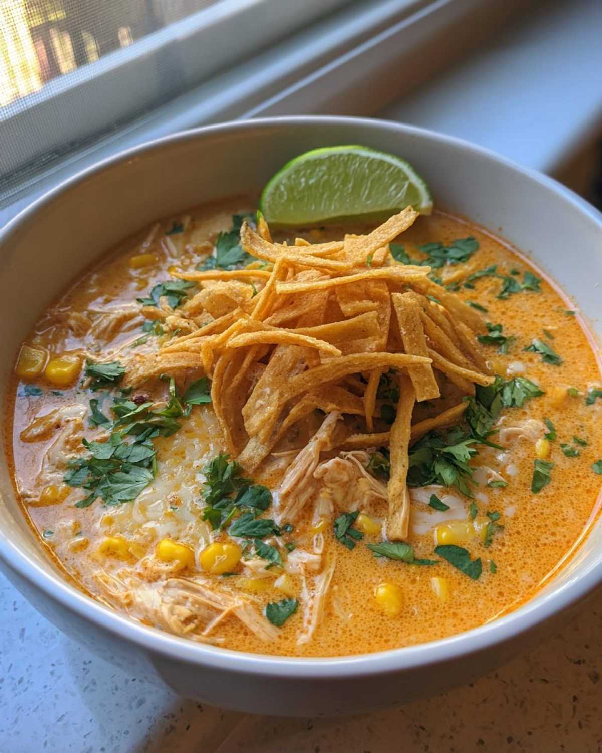 tortilla soup - detail 2
