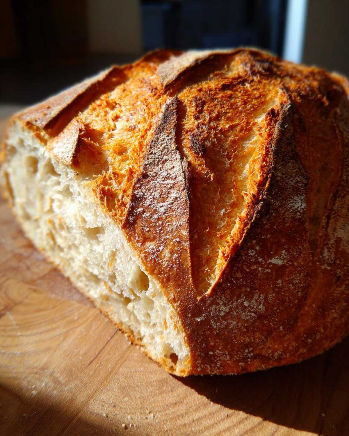 Close-up of a freshly baked loaf of soft french bread showing a golden, crusty exterior and open crumb.
