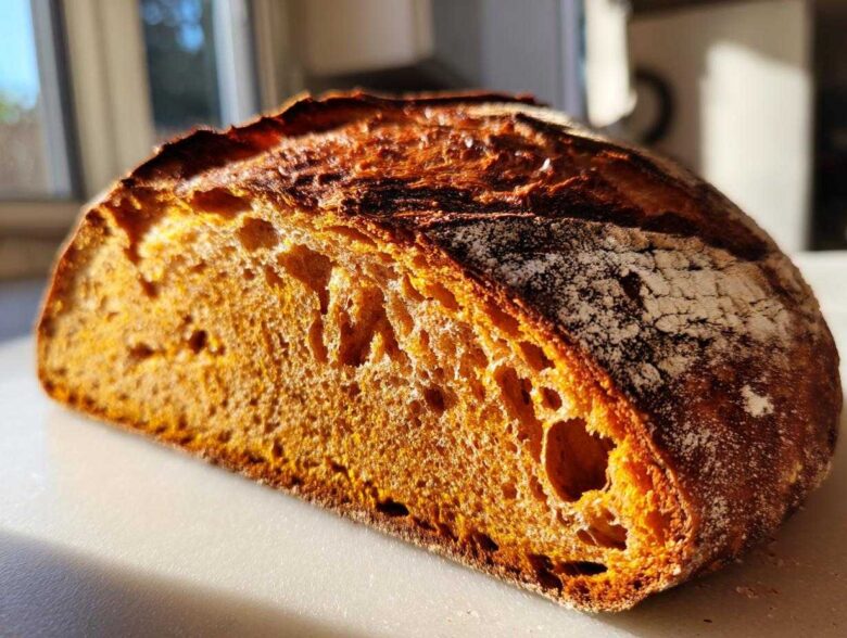 Close-up of the vibrant orange crumb and dark crust of a freshly baked pumpkin sourdough loaf.