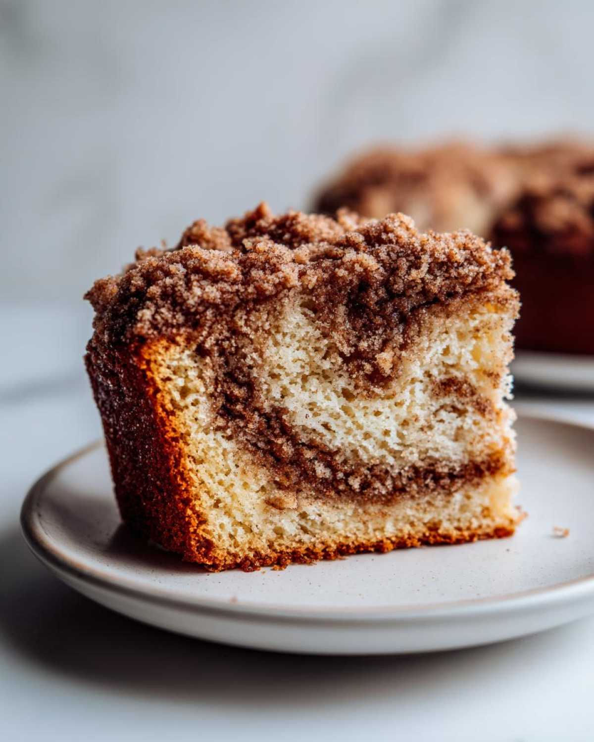 A close-up of a moist slice of Gluten-Free Cinnamon Sugar Coffee Cake showing the swirl of cinnamon filling and thick streusel topping.