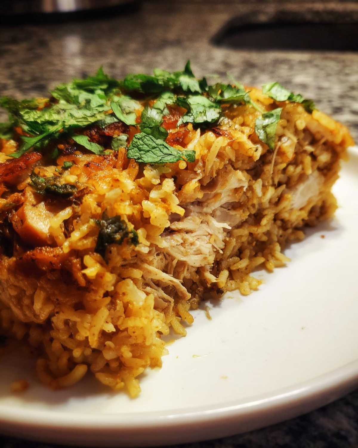 Close-up of a serving of Instant Pot Chicken Biryani showing shredded chicken and seasoned rice, topped with fresh mint and cilantro.